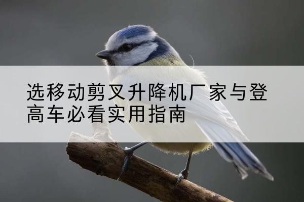 东昌府电动升降机厂家-选移动剪叉升降机厂家与登高车必看实用指南
