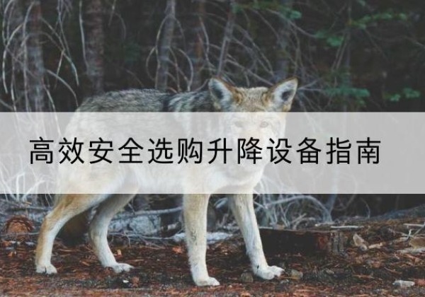东昌府升降货梯厂家推荐-*安全选购升降设备指南