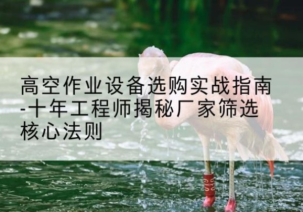 东昌府剪叉式升降机厂家-高空作业设备选购实战指南-十年工程师揭秘厂家筛选核心法则